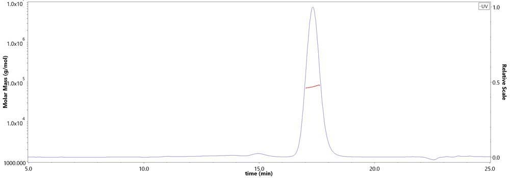 Transferrin SEC-MALS