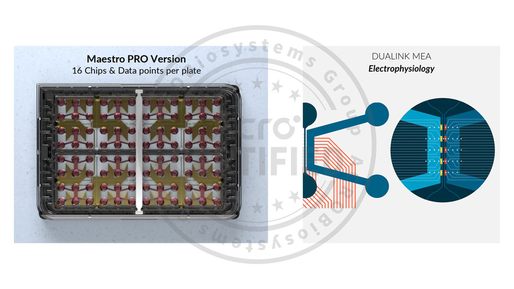 Plate PRODUCT SHOW