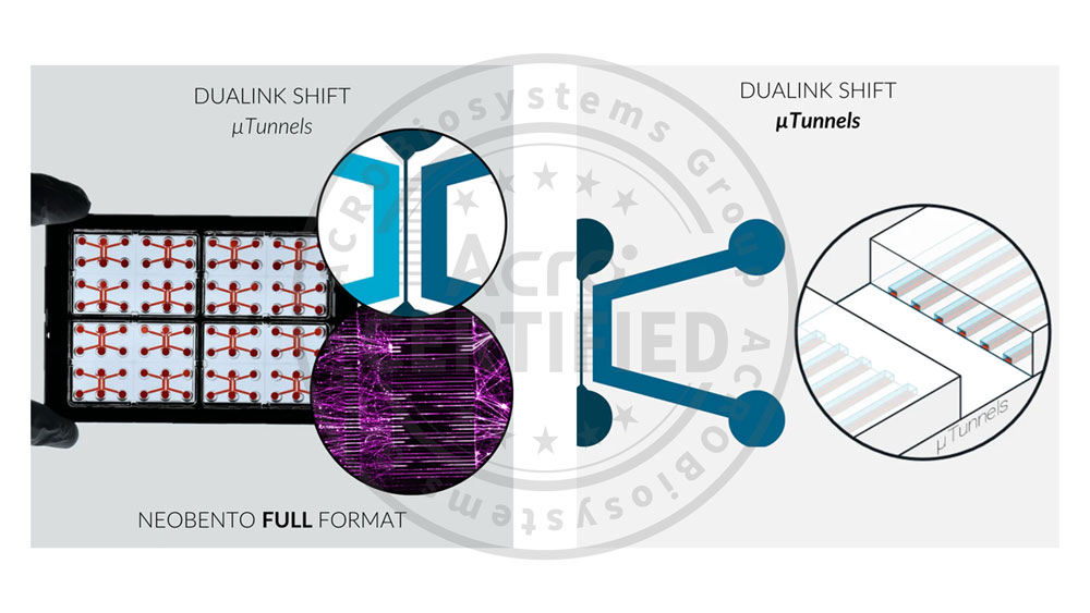 Plate PRODUCT SHOW