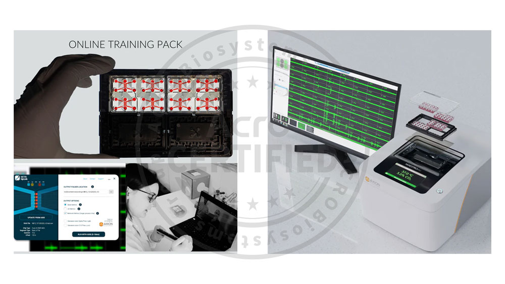 Plate PRODUCT SHOW