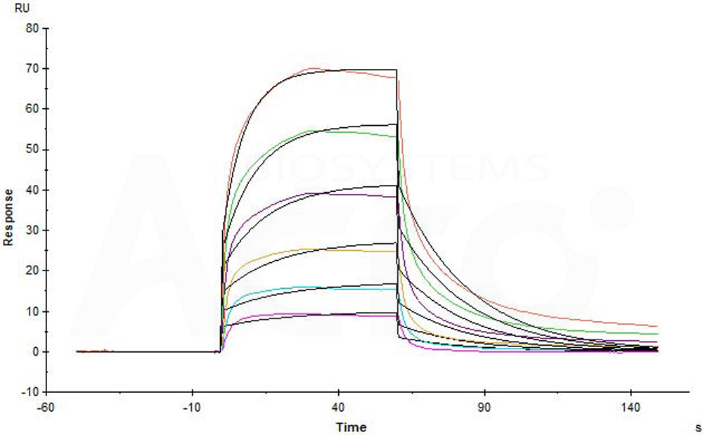 Biotinylated Human SPR