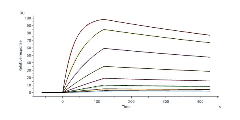 Glycoprotein E/gE (VZV) SPR