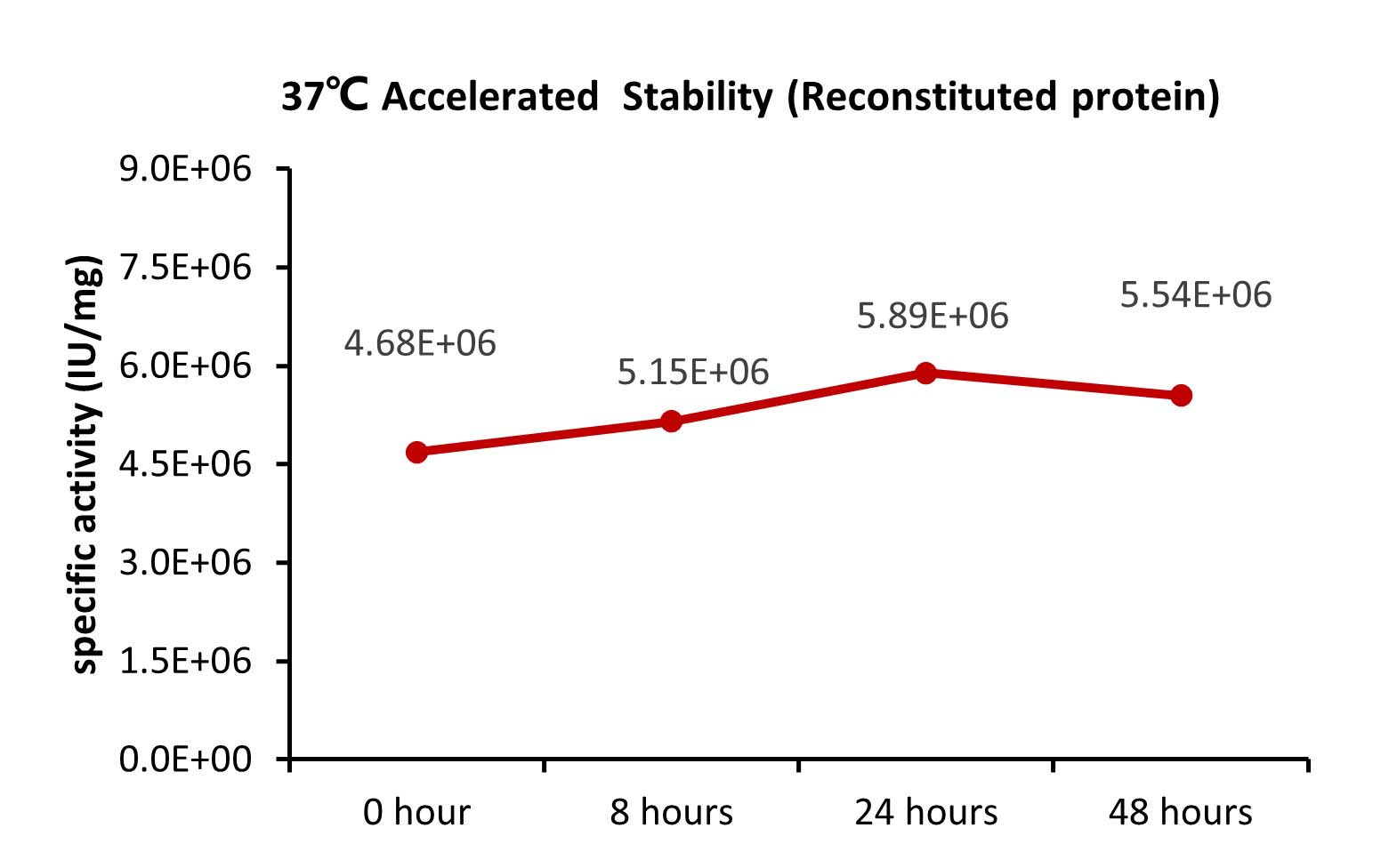 FGF basic STABILITY