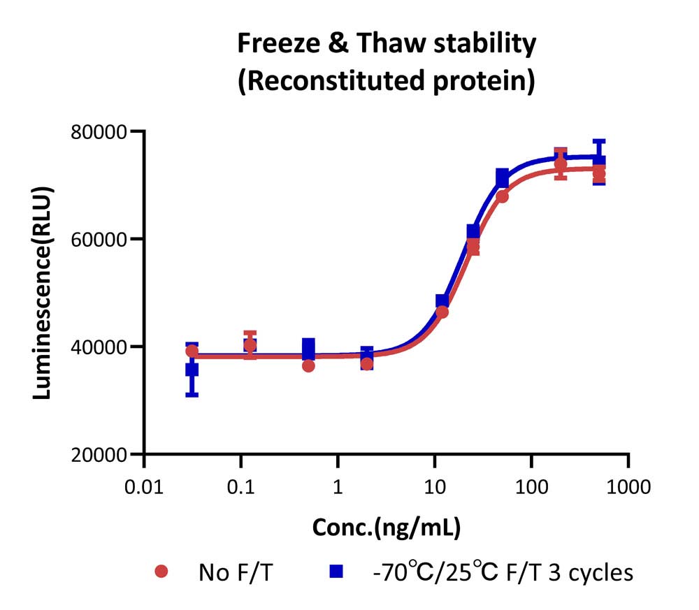 FGF basic STABILITY