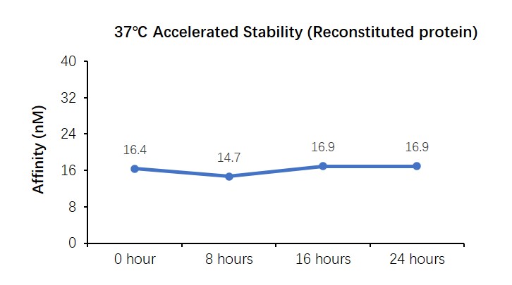 DLL4 STABILITY