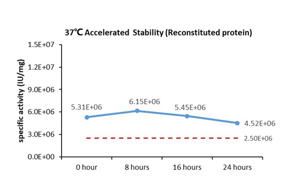 FGF basic STABILITY