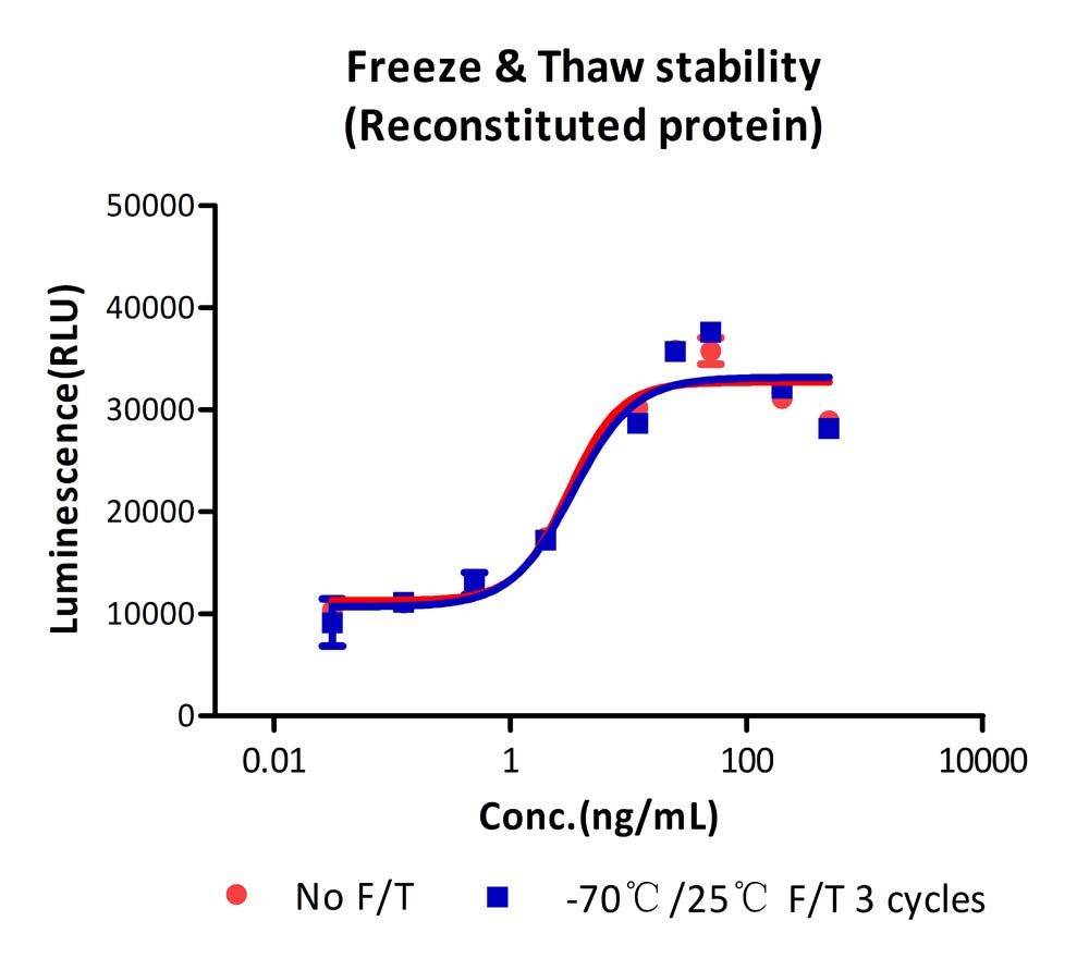 FGF basic STABILITY