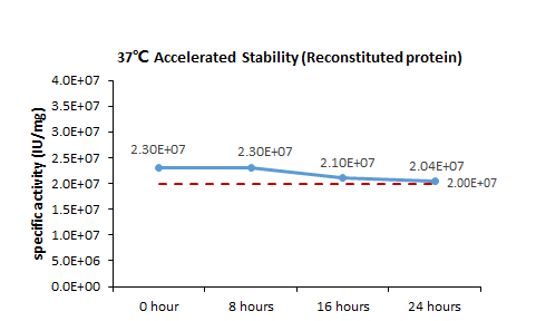 IFN-gamma STABILITY