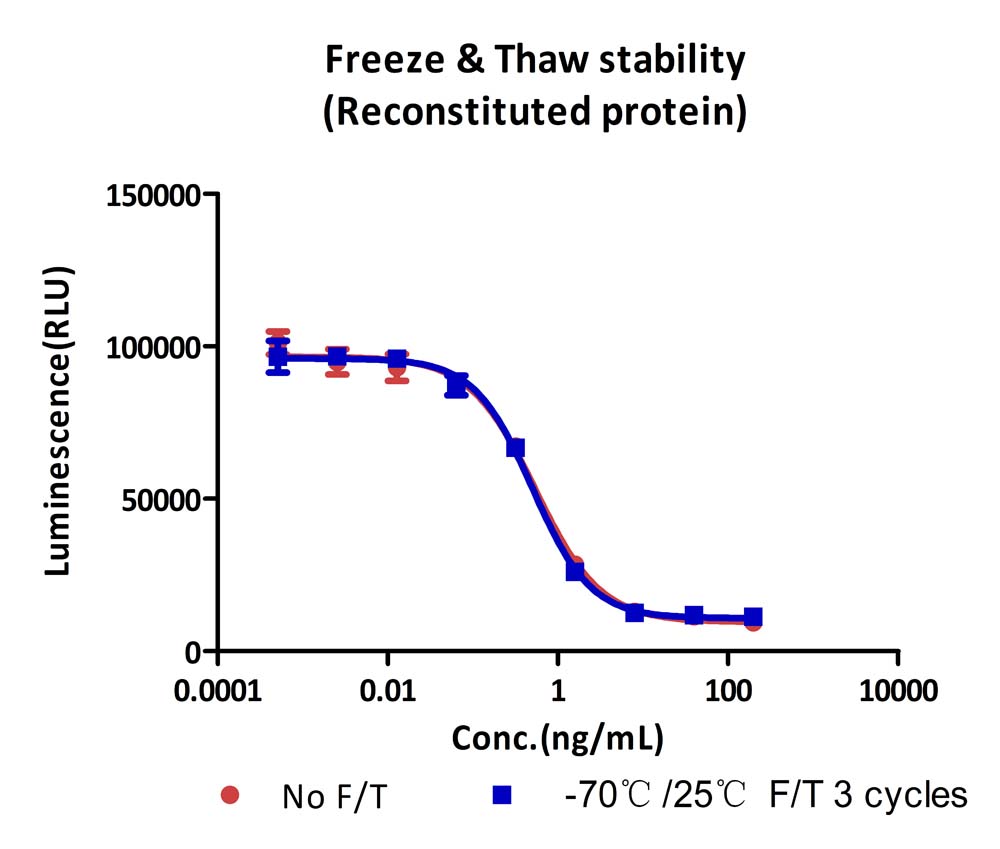 IFN-gamma STABILITY