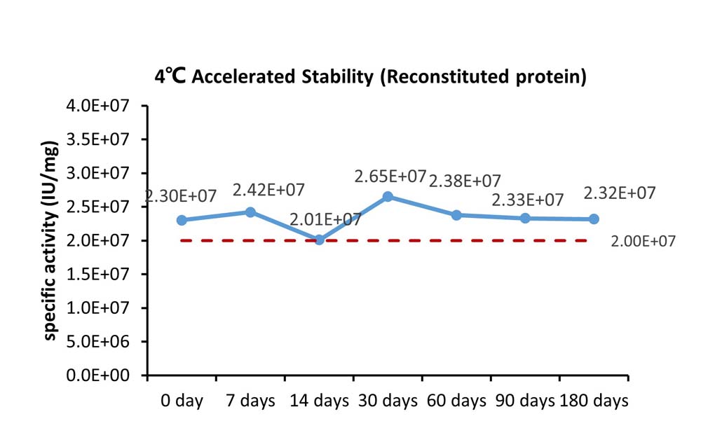 IFN-gamma STABILITY