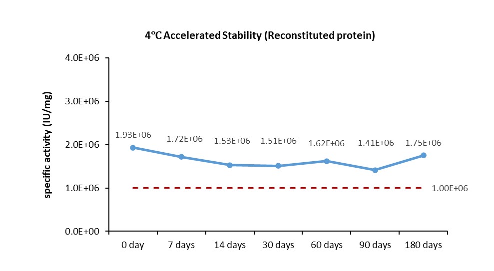 IL-3 STABILITY