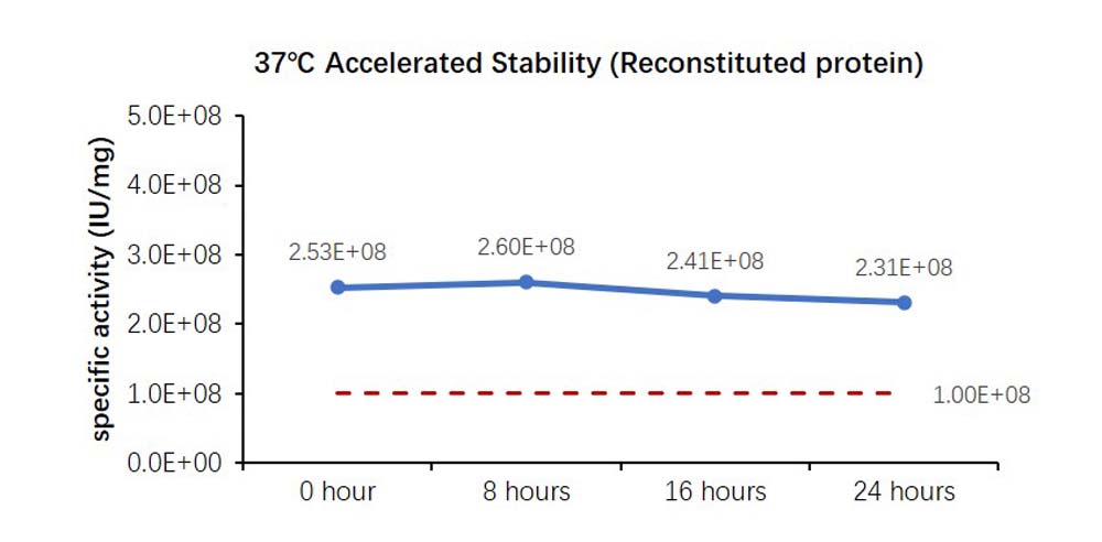 IL-6 STABILITY