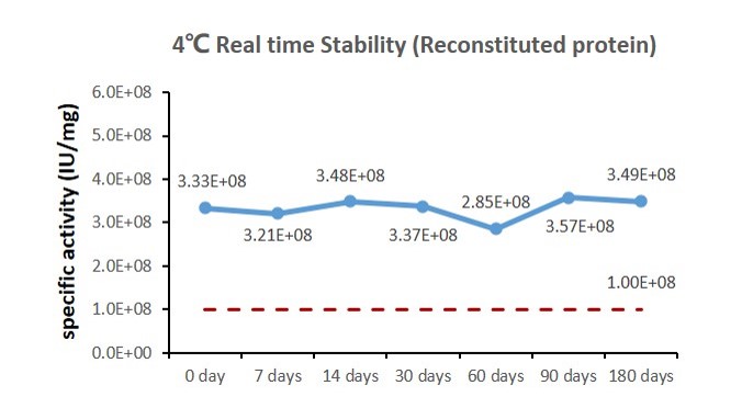 IL-7 STABILITY