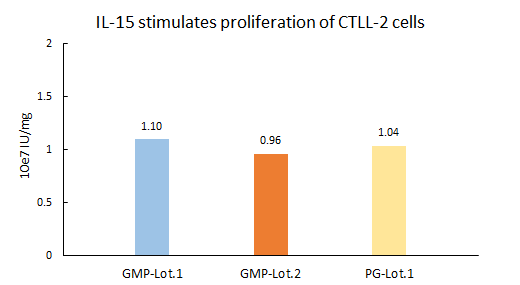 IL-15 STABILITY