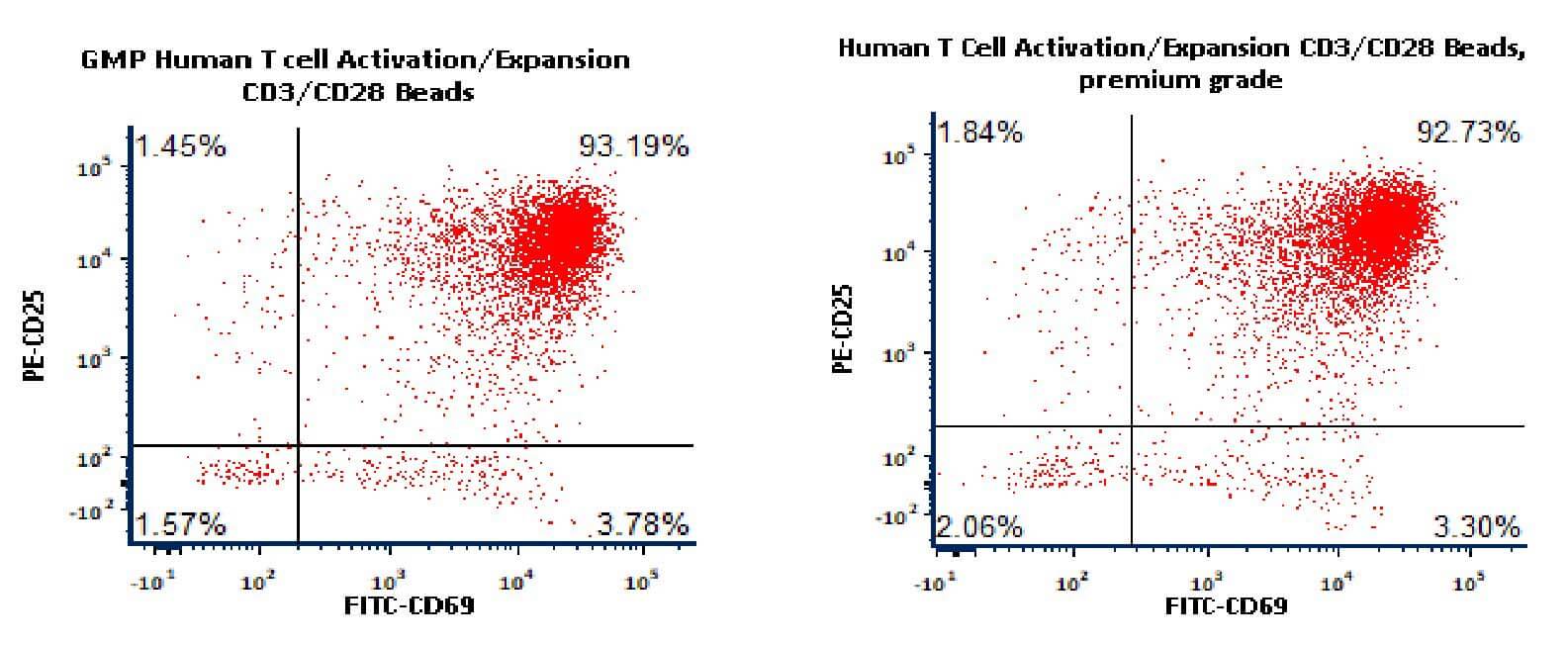 CD3 & CD28 STABILITY