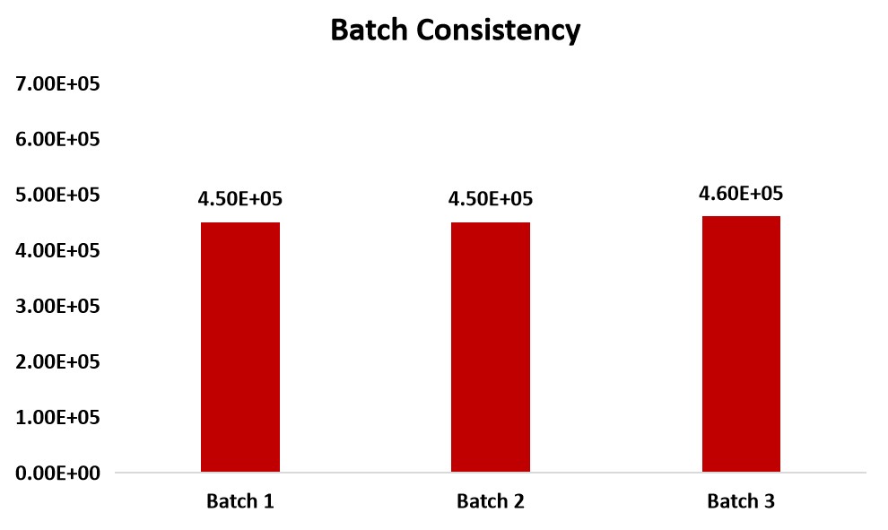 Nuclease STABILITY