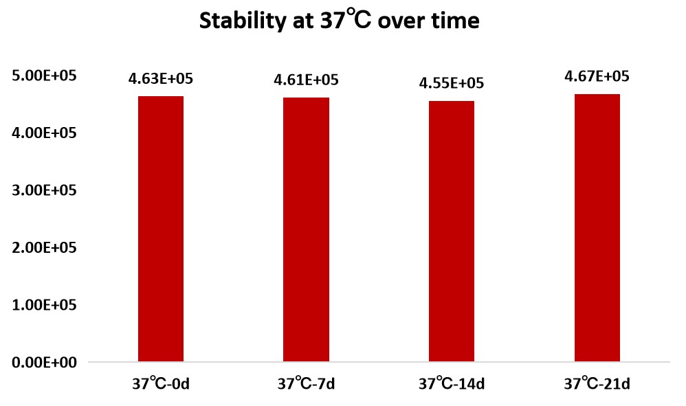 Nuclease STABILITY