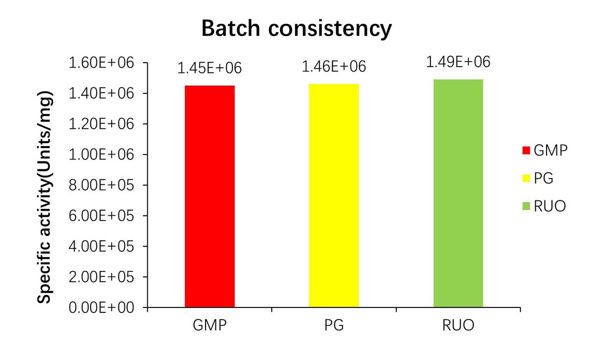 Nuclease STABILITY