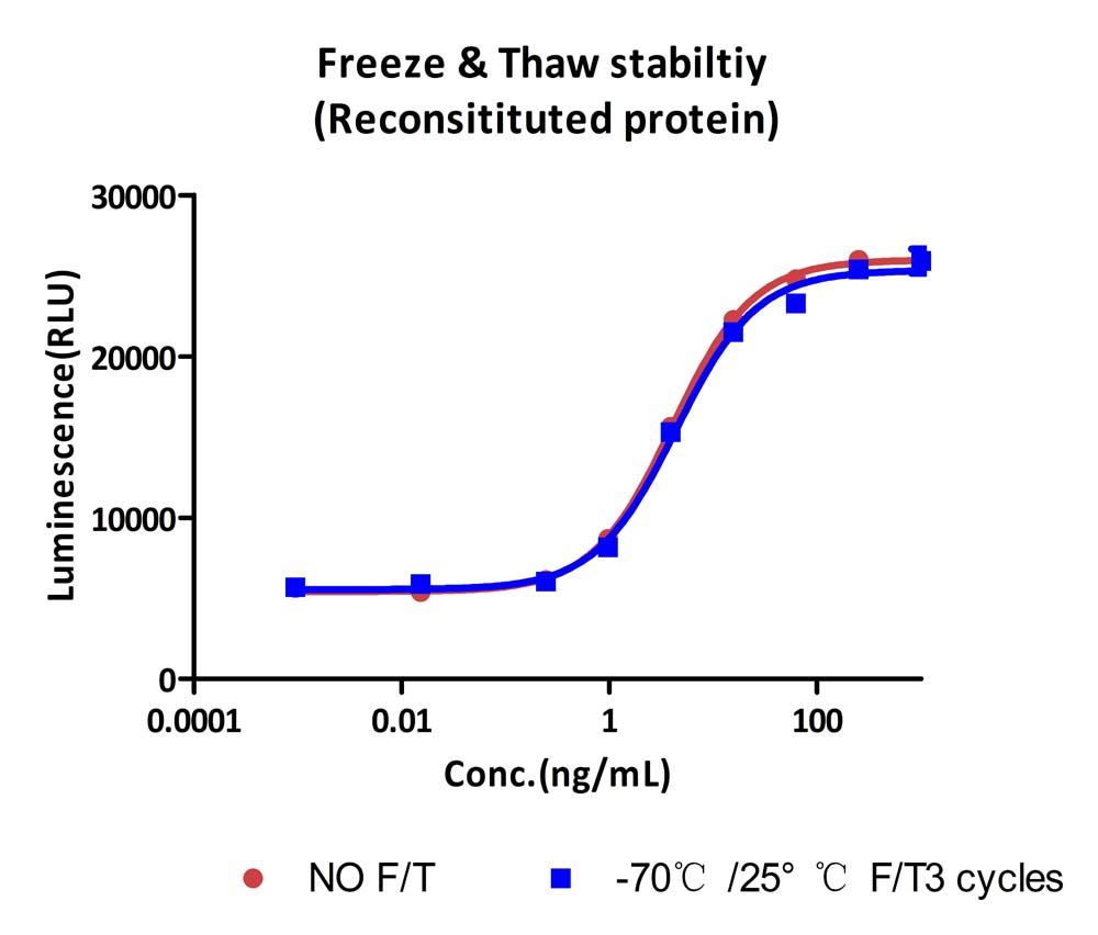 SCF STABILITY