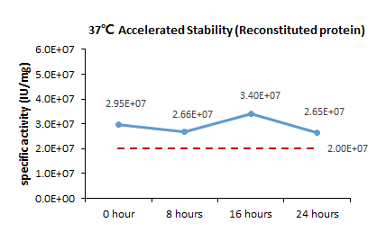 TNF-alpha STABILITY