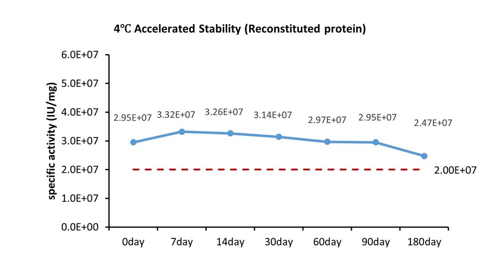 TNF-alpha STABILITY