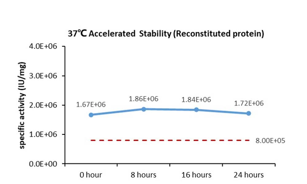 VEGF165 STABILITY