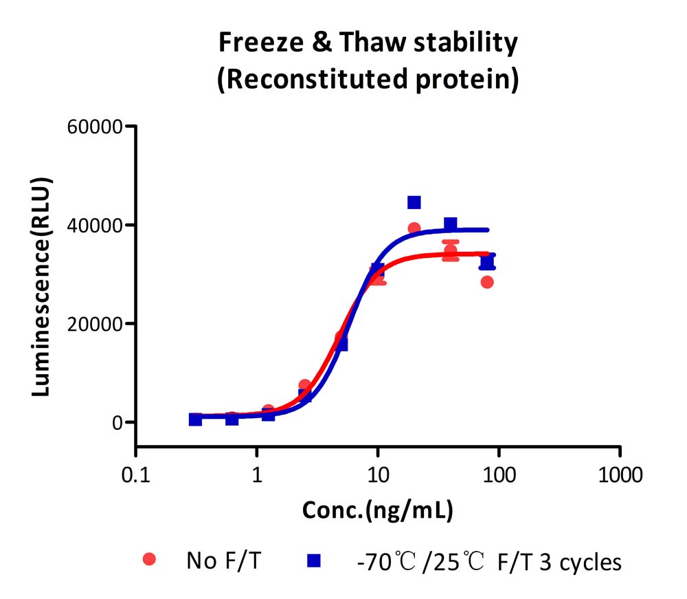 VEGF165 STABILITY