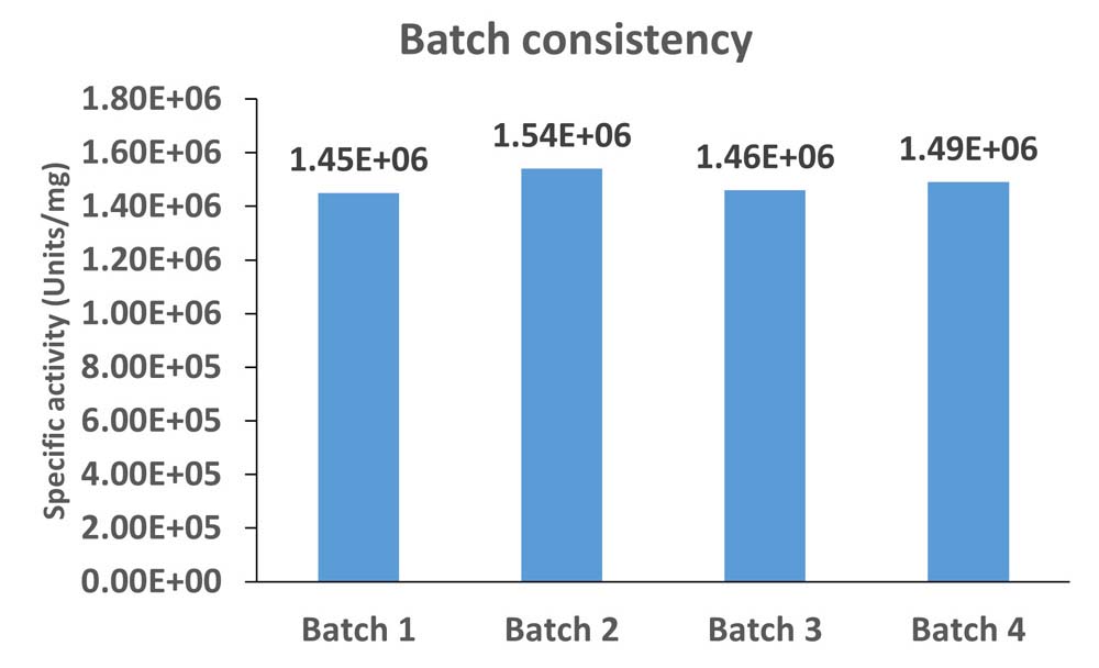 Nuclease STABILITY