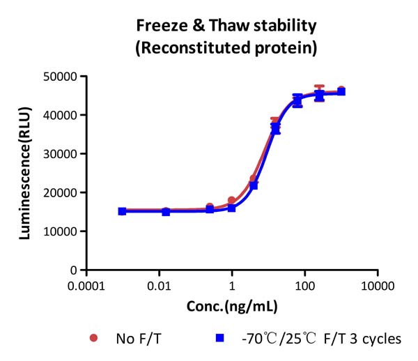 SCF STABILITY