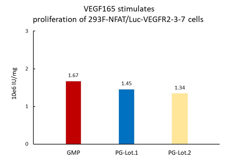 VEGF165 STABILITY