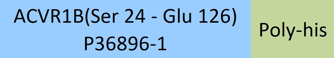 Online(Ser 24 - Glu 126) P36896-1