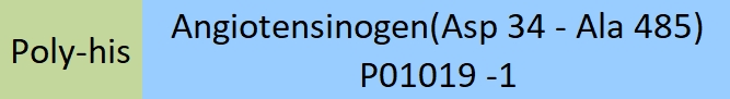 Angiotensinogen Structure