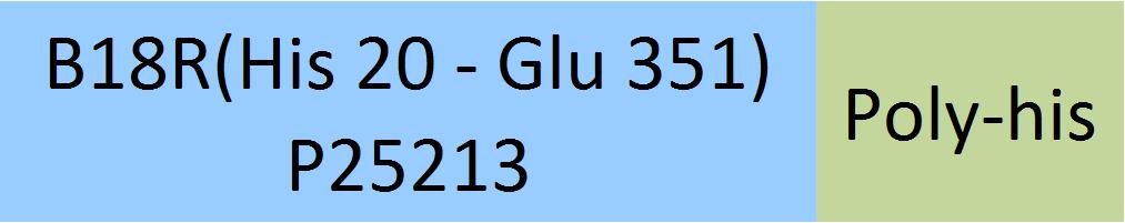 B18R (Vaccinia Virus) Structure