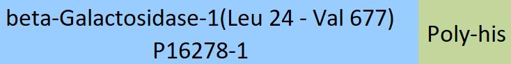 beta-Galactosidase-1 Structure