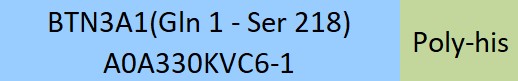 Online(Gln 1 - Ser 218) A0A330KVC6-1