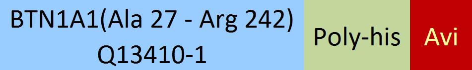 Online(Ala 27 - Arg 242) Q13410-1