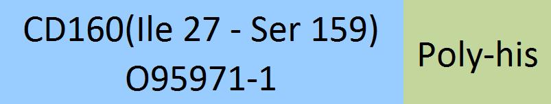 CD160 Structure