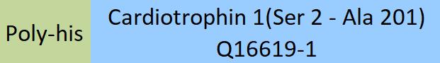 Cardiotrophin 1 Structure