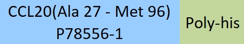CCL20 Structure