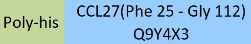 CCL27 Structure
