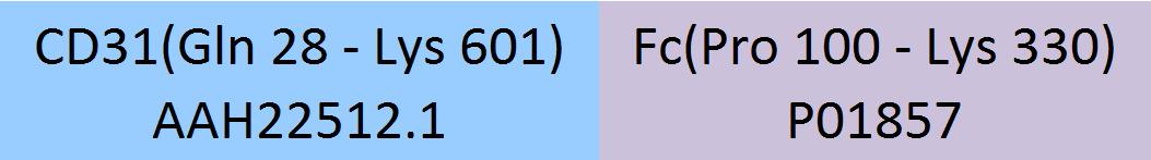 CD31 Structure