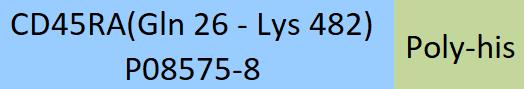 CD45RA Structure