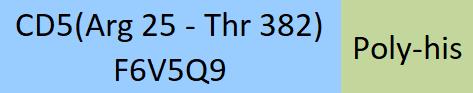 CD5 Structure