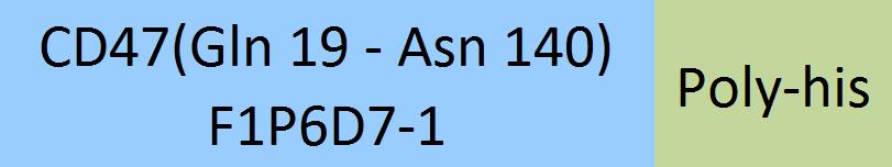 CD47 Structure