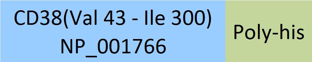 CD38 Structure