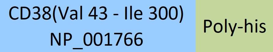 CD38 Structure