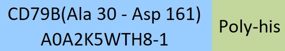 CD79B Structure