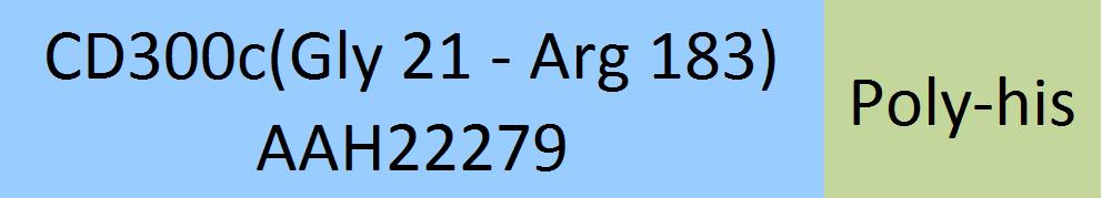 CD300c Structure