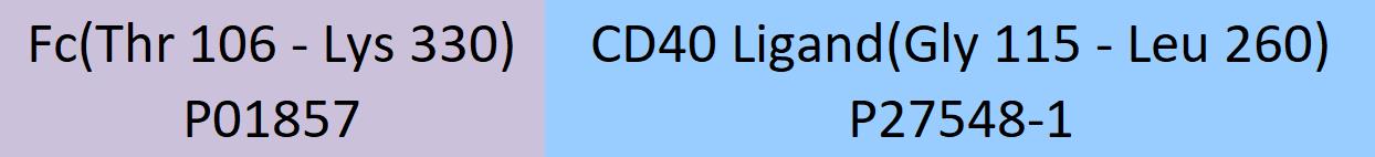 CD40 Ligand Structure