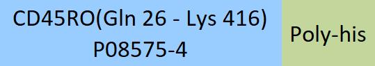 CD45RO Structure
